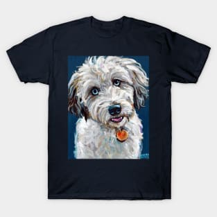 Cute Blue Eyed Aussiedoodle T-Shirt